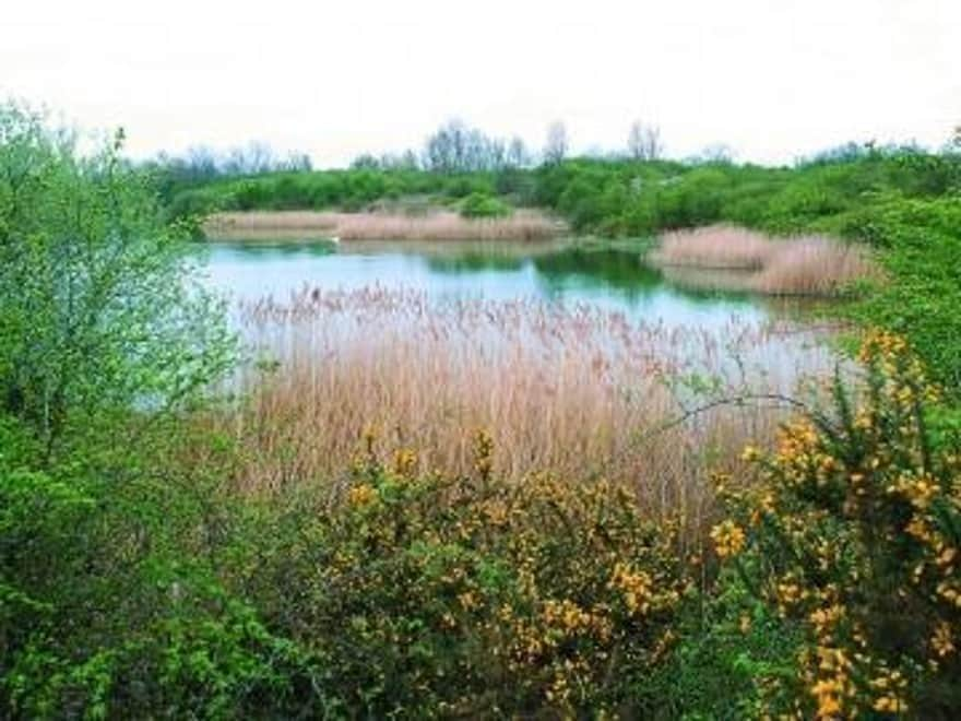 Bucks Residents Encouraged To Have Their Say On Council's Nature Strategy Amidst Climate Concerns