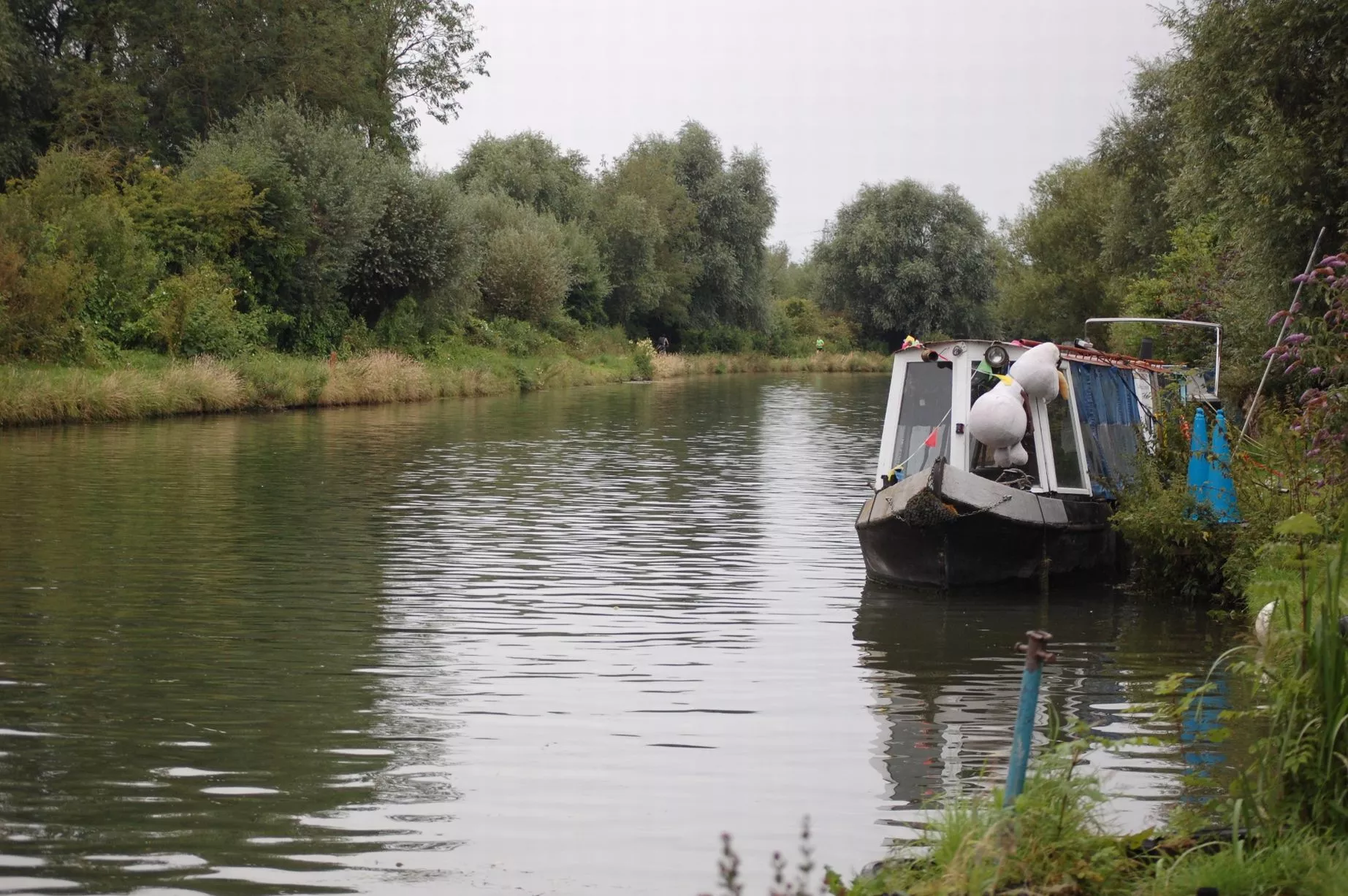 Cambridge Town Bumps 2024 Makes A Splash As Iconic Event Returns To The River Cam