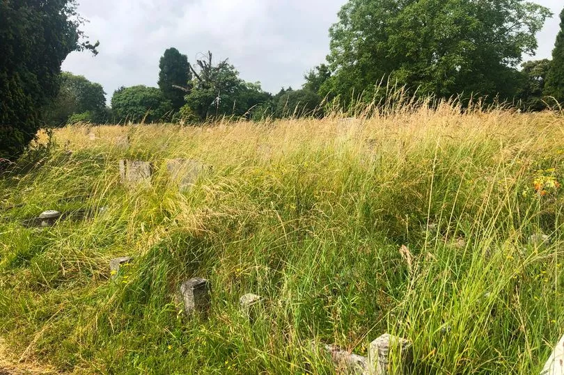 Cambridge Family Says Cemetery Looks Like 'disused Allotment' As Grass Covers Graves