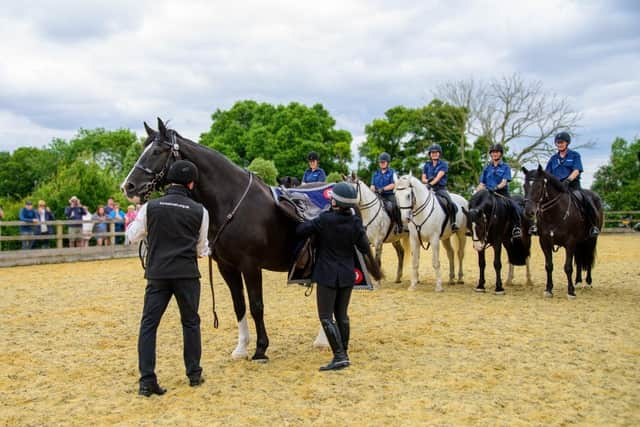 Famous Police Horse Who Protected Prime Ministers And Royalty Retires To Princes Risborough