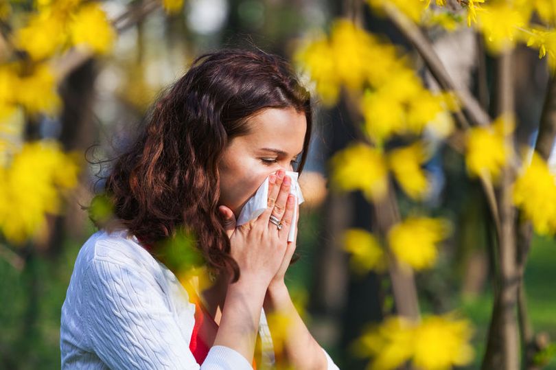 High Pollen Rating In Cambridgeshire Issued By Met Office For Parts Of This Week