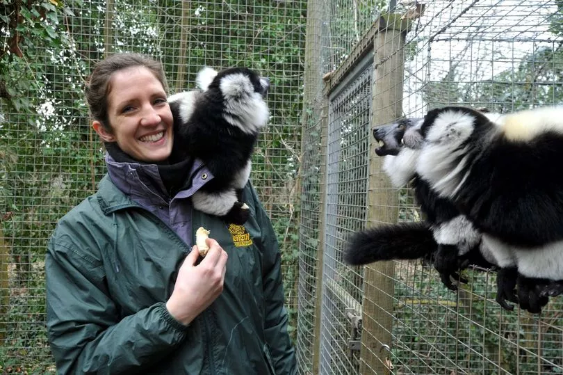 Shepreth Wildlife Park The Award Winning Cambs Wildlife Park Filled With Exotic Animals