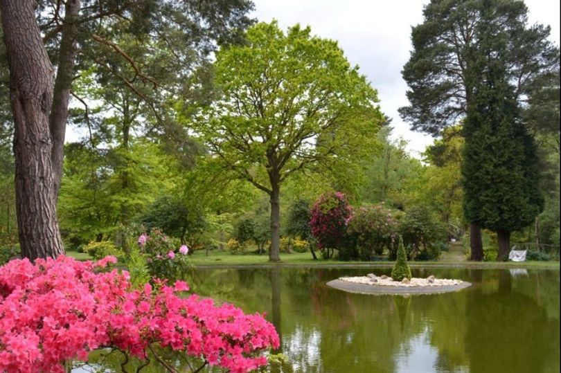 Surrey's Grade I Listed Green Flag Park That Is One Of Uk's Most Unusual Complete With Abandoned Railway