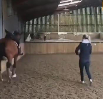 Video Of Disgraced Aylesbury Vale Olympic Champion Whipping A Horse Shown Live On Television