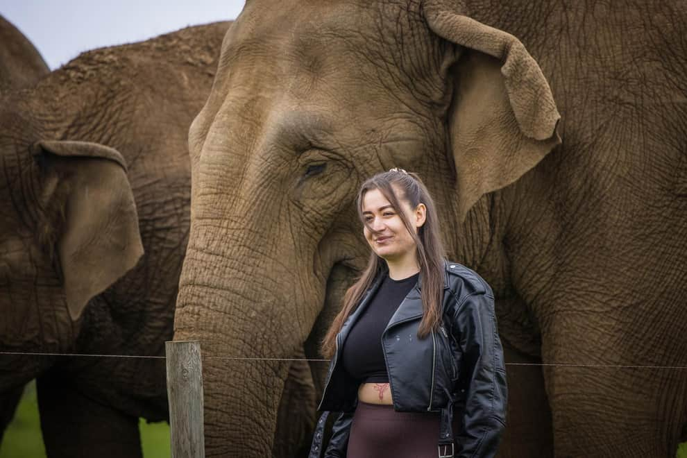 Win The Chance To Meet The Elephants At Woburn Safari Park